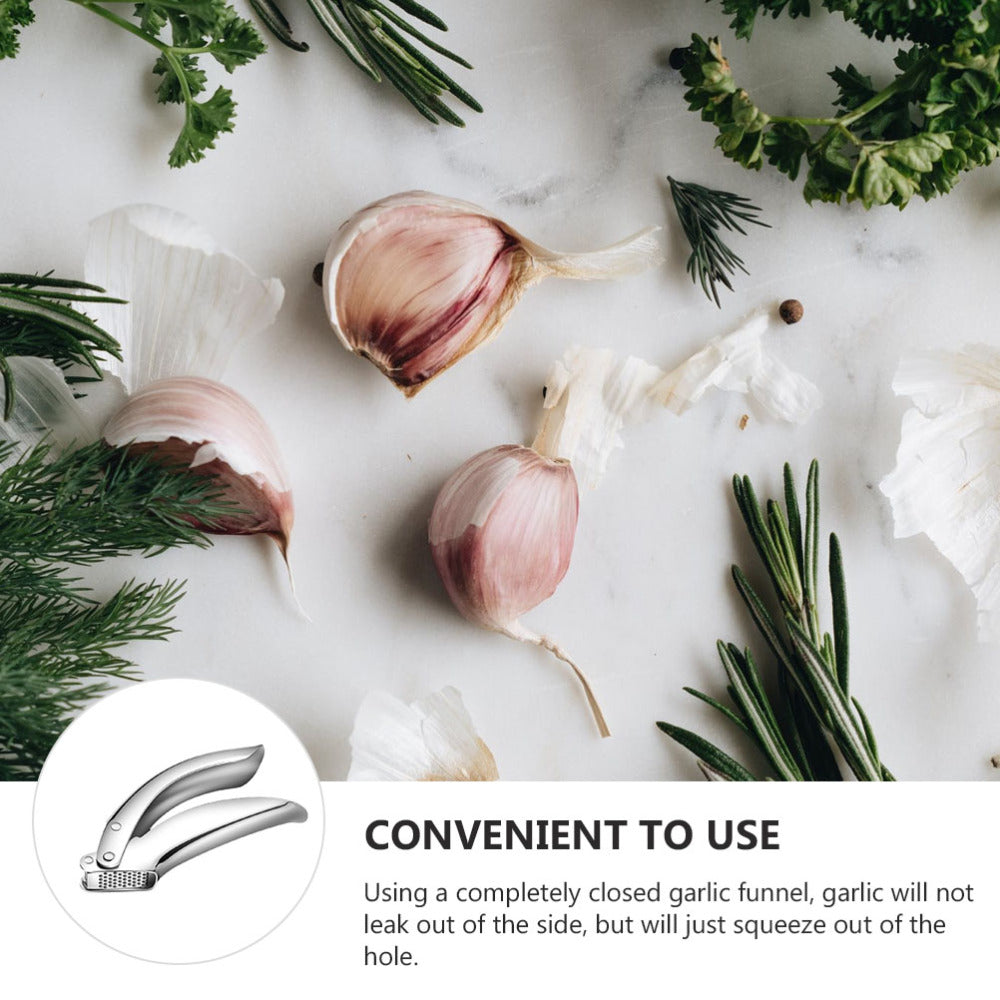 Stainless Steel Manual Garlic Press