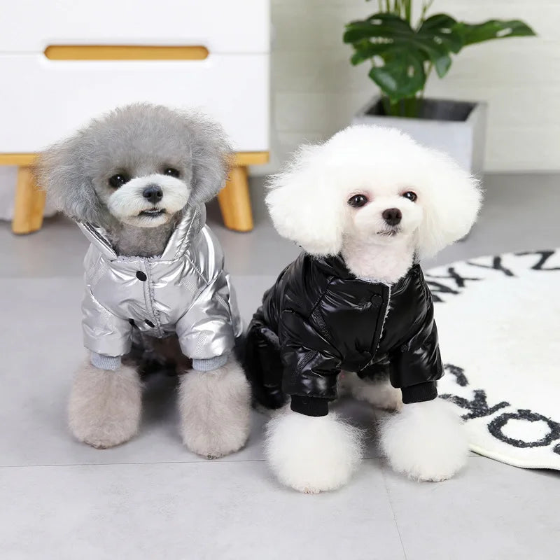 Dog Winter Clothes